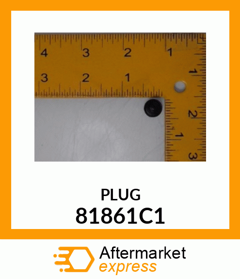 PLUG 81861C1