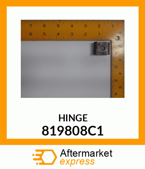 HINGE 819808C1