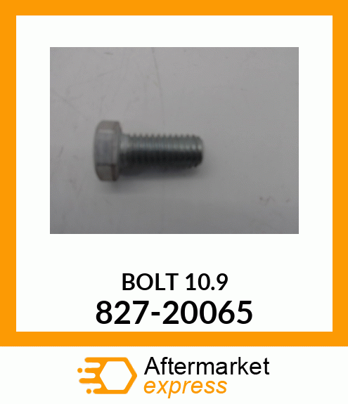 BOLT10.9 827-20065