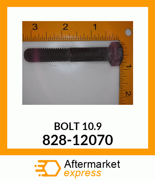 BOLT10.9 828-12070