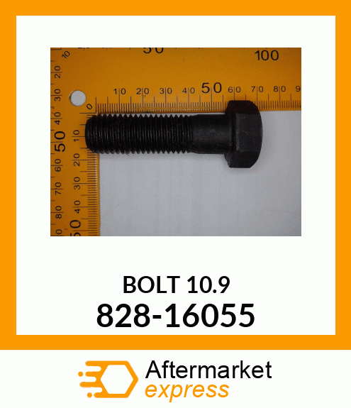 BOLT 828-16055