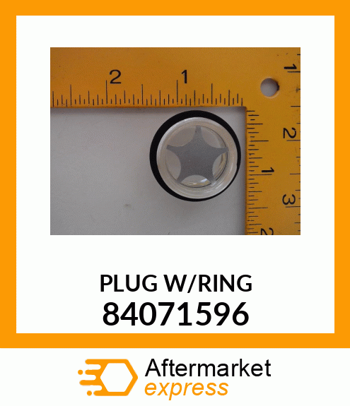 PLUGW/RING 84071596