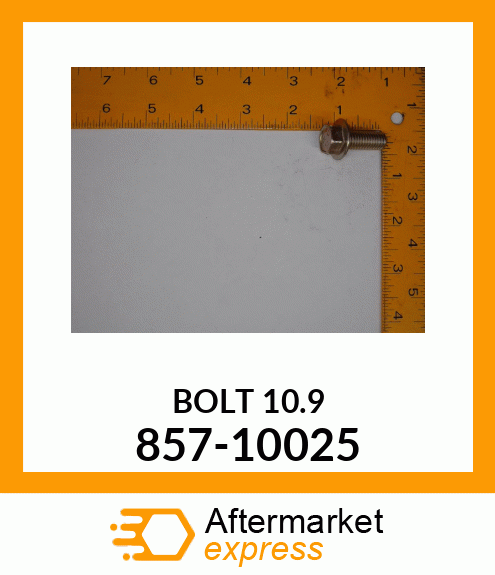 BOLT_10.9 857-10025