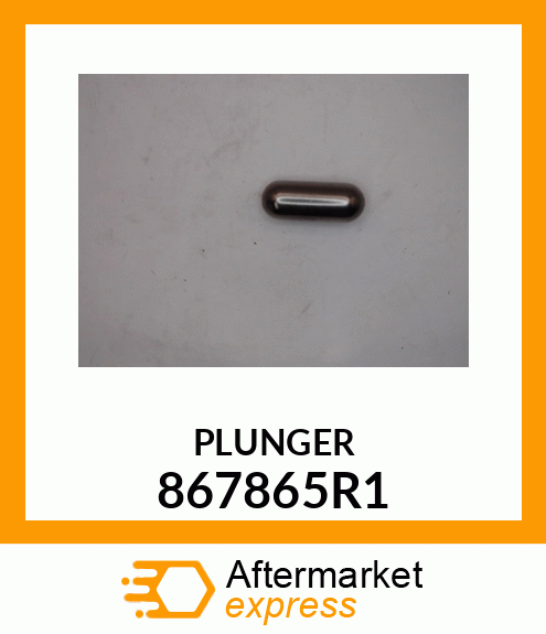 PLUNGER 867865R1