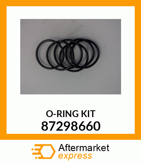 O-RING_KIT 87298660