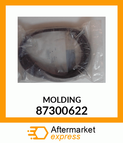 MOLDING 87300622