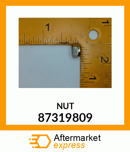 NUT 87319809