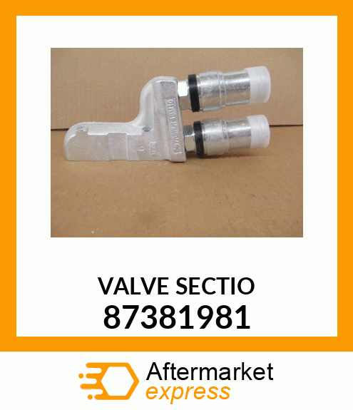 VALVESECTIO 87381981