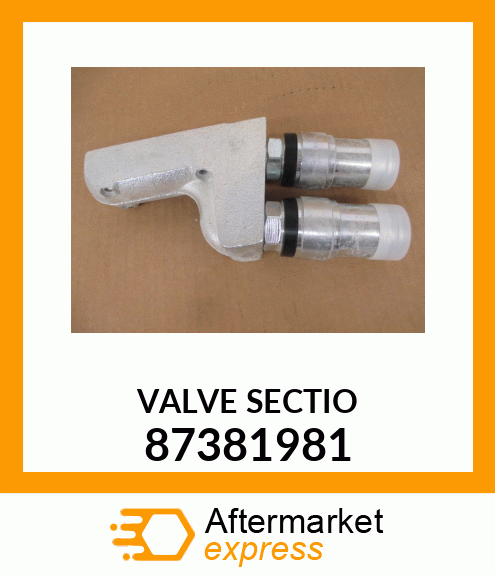 VALVESECTIO 87381981