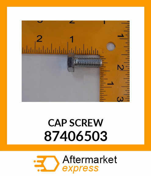 CAPSCREW 87406503