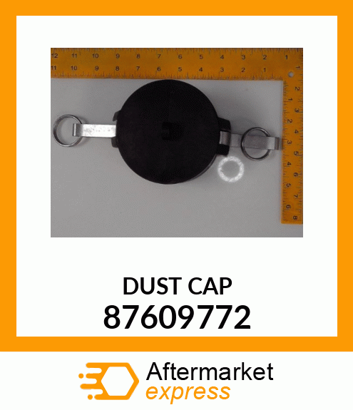 DUST_CAP 87609772