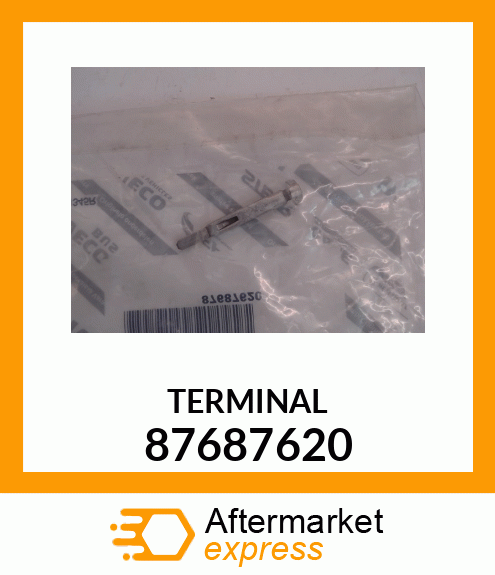 TERMINAL 87687620