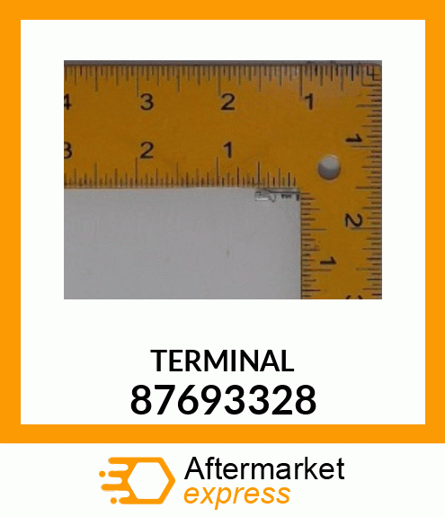 TERMINAL 87693328