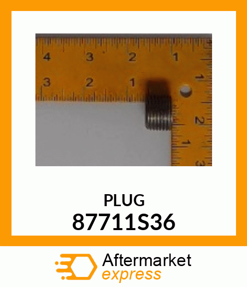 PLUG 87711S36