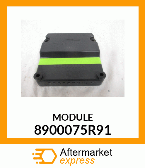 MODULE 8900075R91