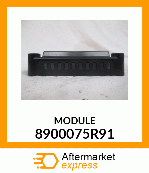 MODULE 8900075R91