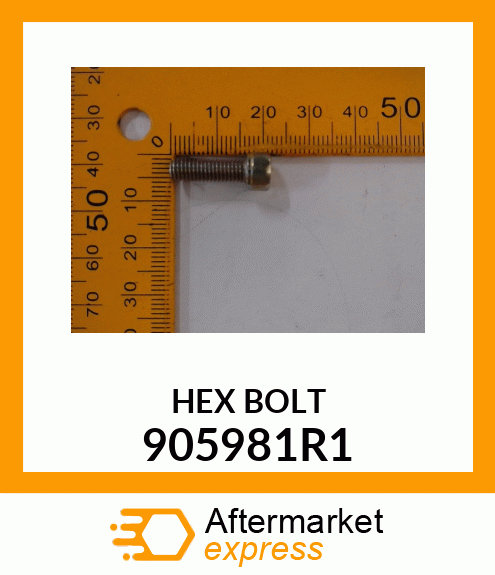 HEXBOLT 905981R1