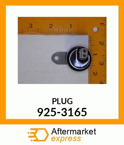 PLUG 925-3165