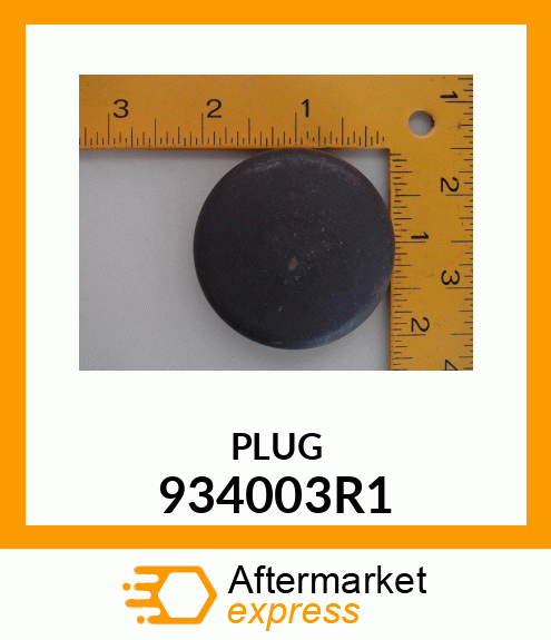 PLUG 934003R1