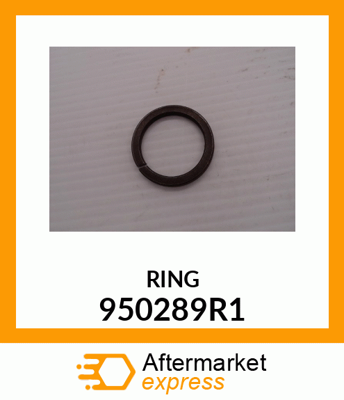 RING 950289R1