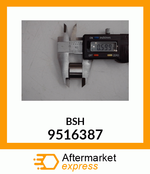 BSH 9516387