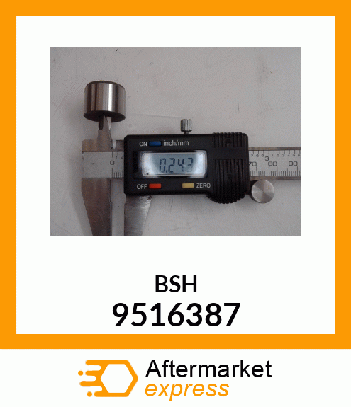 BSH 9516387