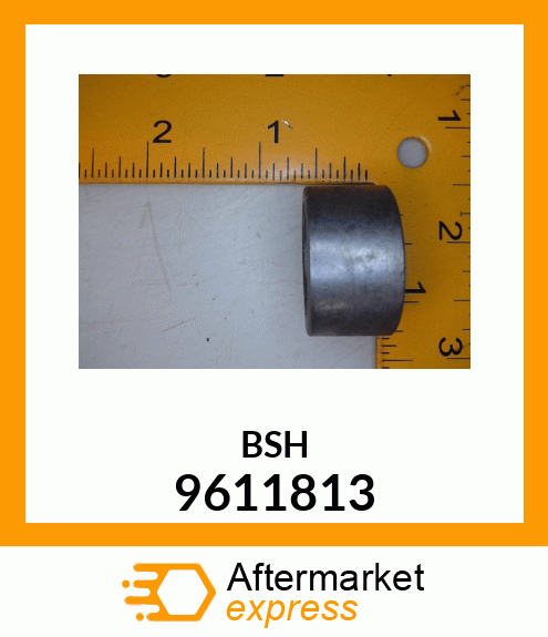 BSH 9611813