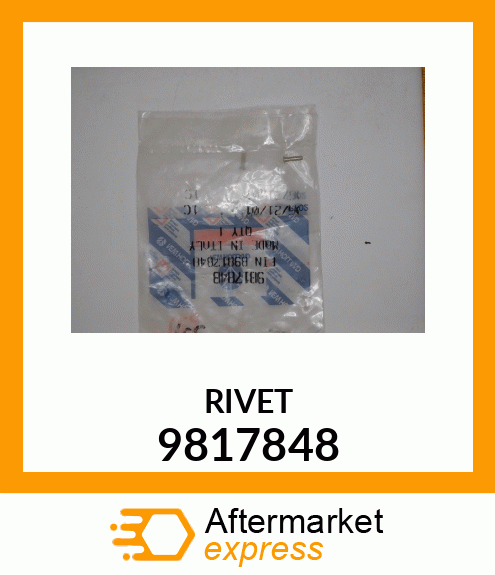 RIVET 9817848