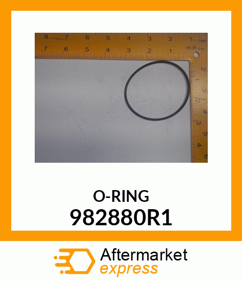 O-RING 982880R1