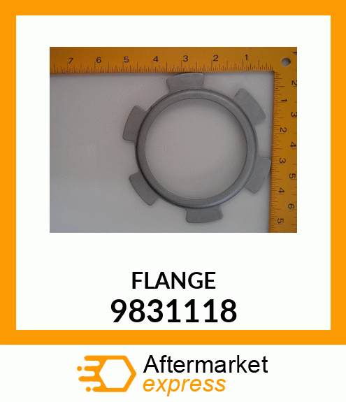 FLANGE 9831118