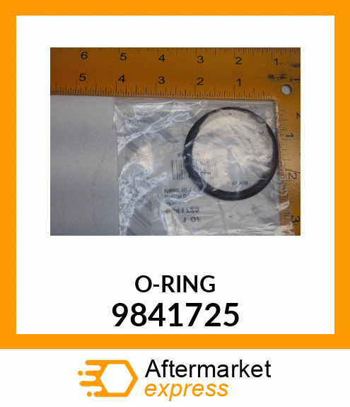 O-RING 9841725