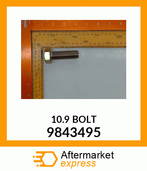 BR10.9BOLT 9843495