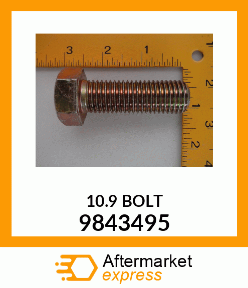 BR10.9BOLT 9843495