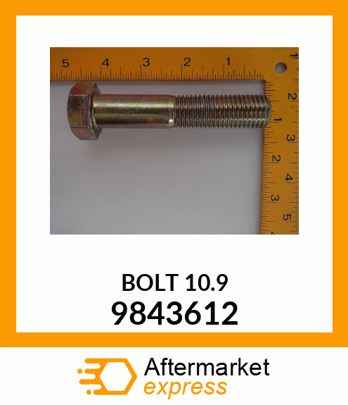 BOLT10.9 9843612