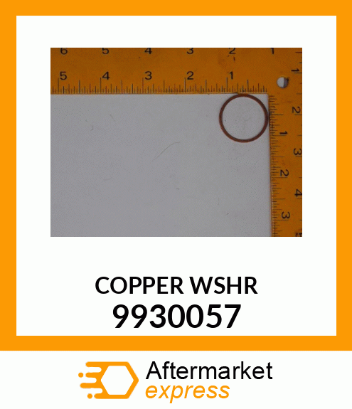 COPPERWSH 9930057