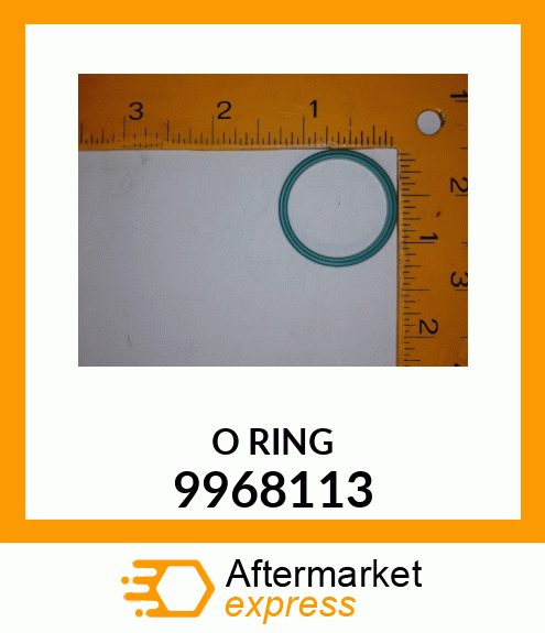 ORING 9968113