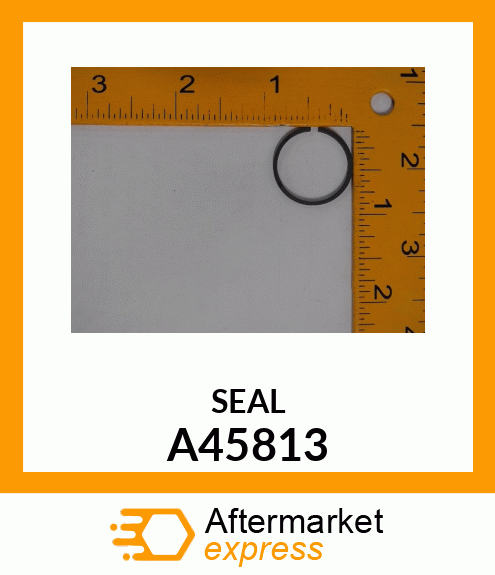 SEAL A45813