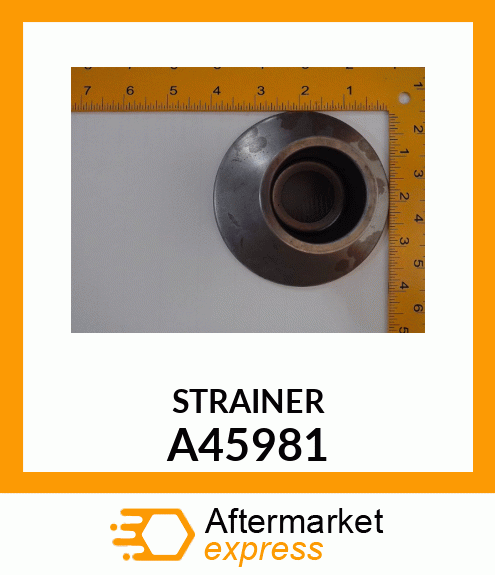 STRAINER A45981