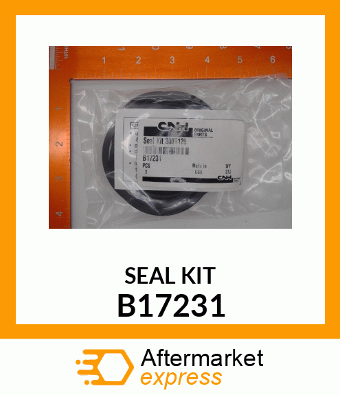 KIT B17231