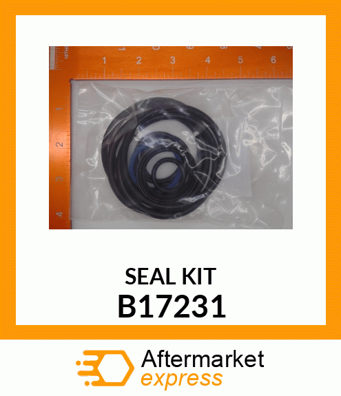 KIT B17231