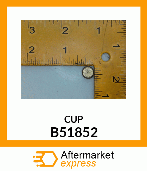 CUP B51852