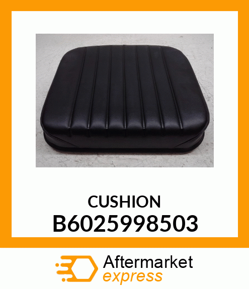 CUSHION B6025998503