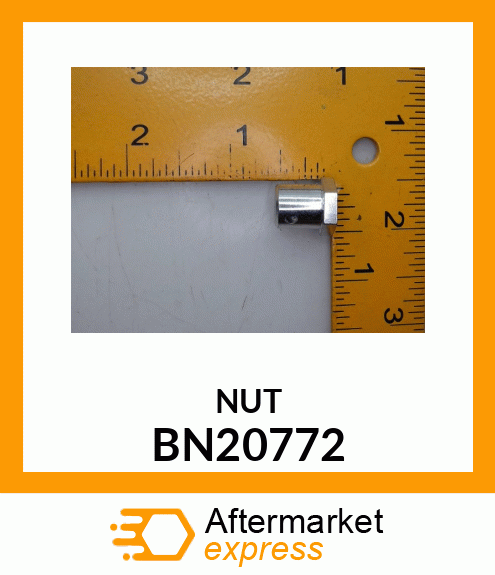 NUT BN20772