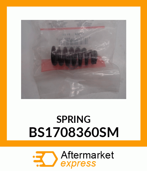 SPRING BS1708360SM