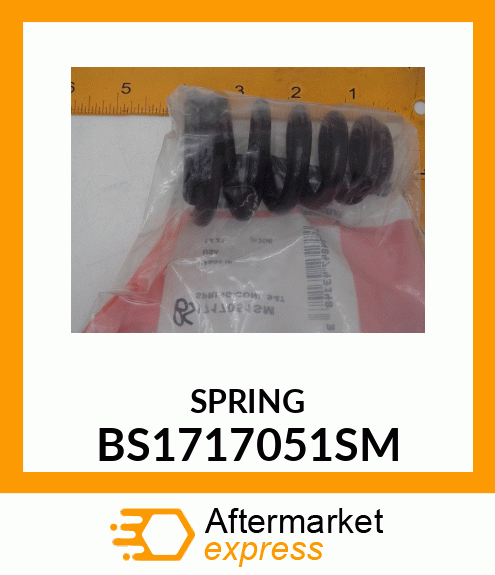 SPRING BS1717051SM