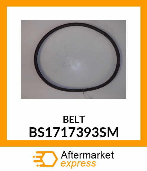 BELT BS1717393SM