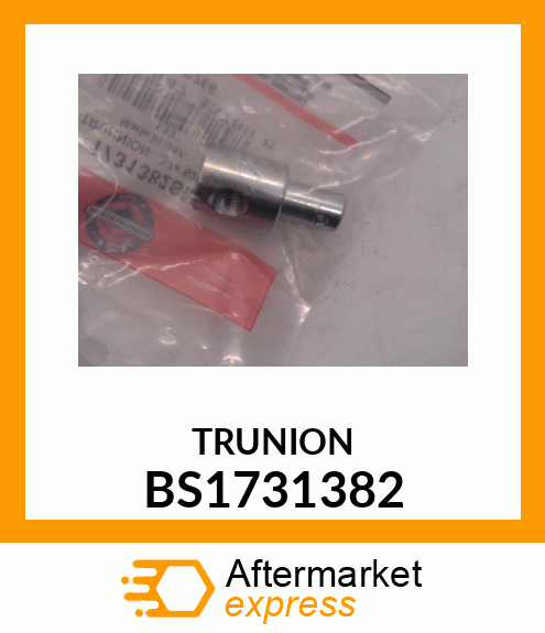 TRUNION BS1731382