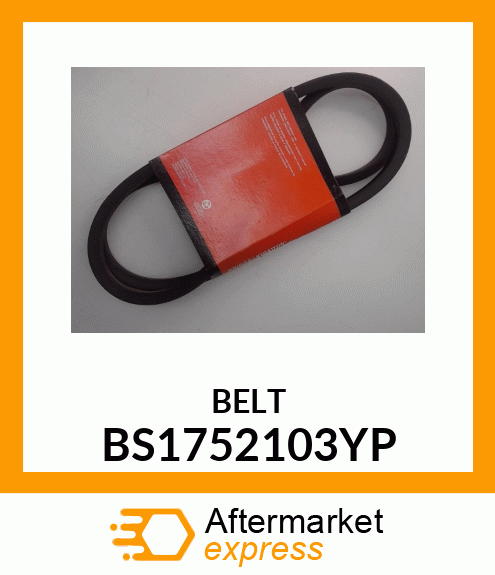 BELT BS1752103YP