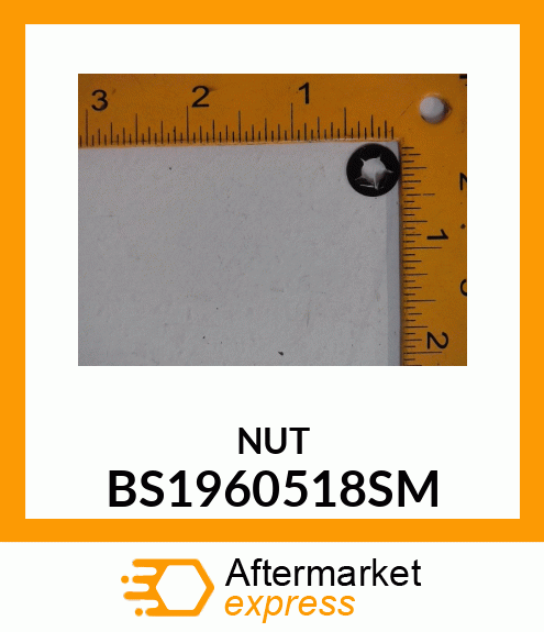 NUT BS1960518SM