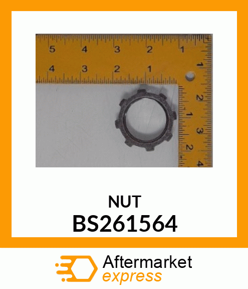 NUT BS261564